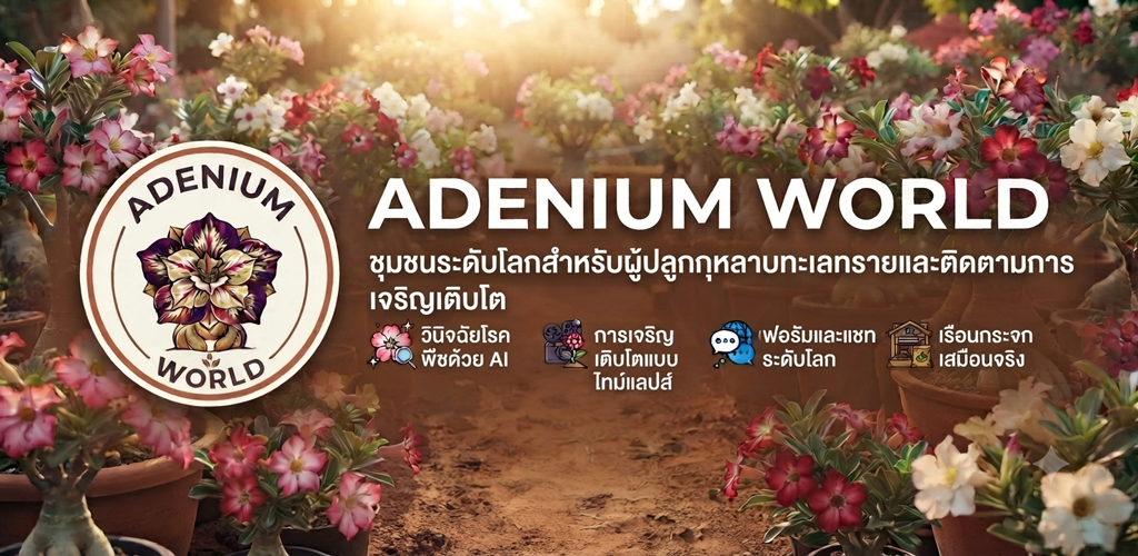 Main-Banner-Thai_1024_500